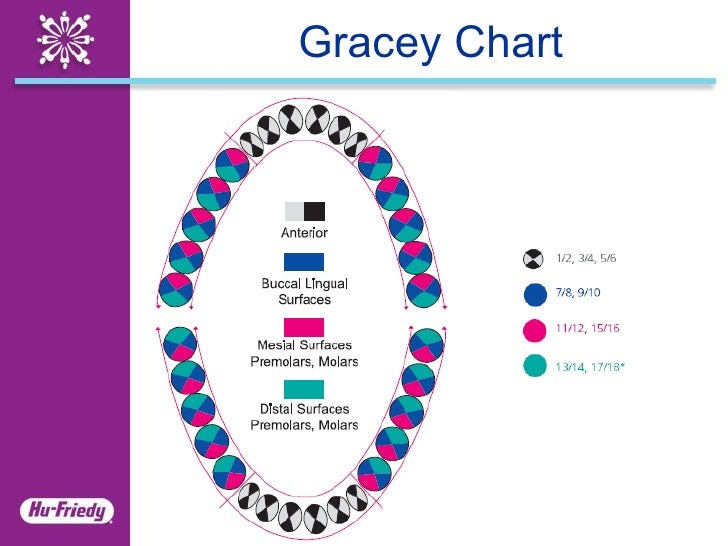 Gracey Scaler Chart