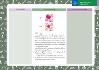 CuriculumManual_T1.pdf