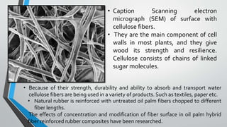 Micrograph Caption Examples Curing characteristics and mechanical properties of short oil | PPT