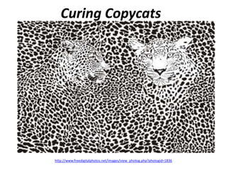 Curing Copycats




http://www.freedigitalphotos.net/images/view_photog.php?photogid=1836
 
