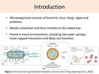 Curing human diseases using microorganisms | PPTX