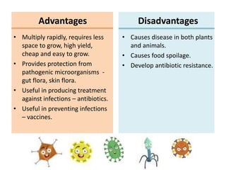 Curing human diseases using microorganisms | PPTX
