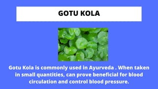 GOTU KOLA
Gotu Kola is commonly used in Ayurveda . When taken
in small quantities, can prove beneficial for blood
circulation and control blood pressure.
 