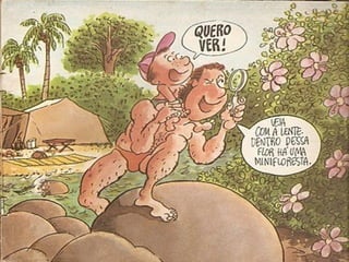 Curiosidade premiada