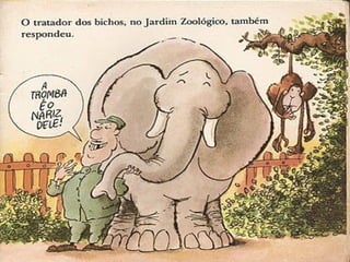 Curiosidade premiada