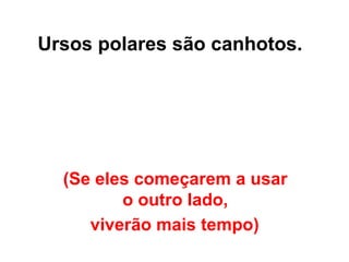 (Se eles começarem a usar  o outro lado,  viverão mais tempo)   Ursos polares são canhotos.   
