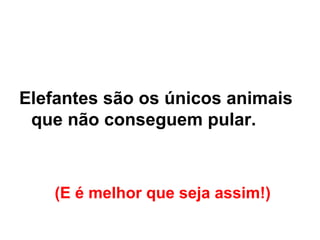 (E é melhor que seja assim!)   Elefantes são os únicos animais que não conseguem pular.   