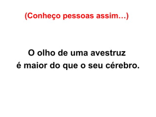 (Conheço pessoas assim…)   O olho de uma avestruz  é maior do que o seu cérebro. 