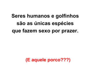 (E aquele porco???)   Seres humanos e golfinhos  são as únicas espécies  que fazem sexo por prazer.  