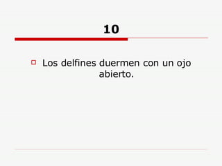 10 Los delfines duermen con un ojo abierto. 