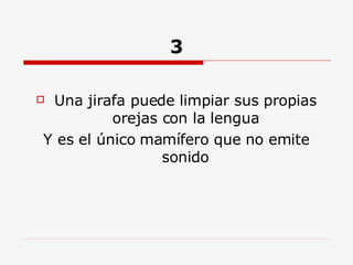 3 Una jirafa puede limpiar sus propias orejas con la lengua Y es el único mamífero que no emite sonido 