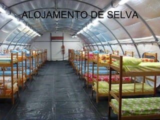 ALOJAMENTO DE SELVA 