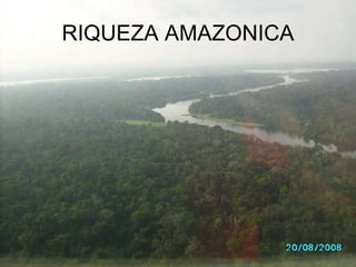 RIQUEZA AMAZONICA 