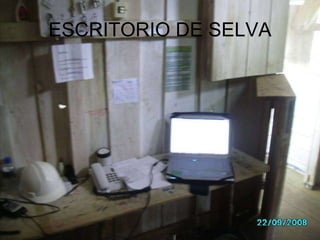 ESCRITORIO DE SELVA 