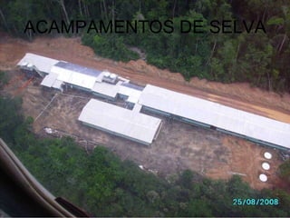 ACAMPAMENTOS DE SELVA 