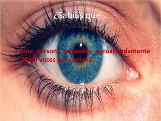 ¿Sabías que…
• Una persona parpadea aproximadamente
25mil veces por semana.
 