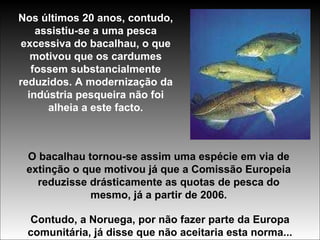 Nos últimos 20 anos, contudo, assistiu-se a uma pesca excessiva do bacalhau, o que motivou que os cardumes fossem substancialmente reduzidos. A modernização da indústria pesqueira não foi alheia a este facto. O bacalhau tornou-se assim uma espécie em via de extinção o que motivou já que a Comissão Europeia reduzisse drásticamente as quotas de pesca do mesmo, já a partir de 2006. Contudo, a Noruega, por não fazer parte da Europa comunitária, já disse que não aceitaria esta norma... 