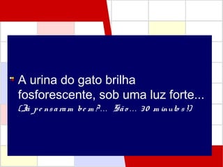 A urina do gato brilha
fosforescente, sob uma luz forte...
(Já pe nsaram be m ? . .. São . . . 30 m inuto s!)
 