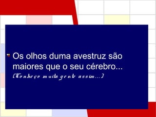 Os olhos duma avestruz são
maiores que o seu cérebro...
(Co nhe ço m uita g e nte assim .. . )
 