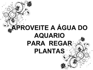 APROVEITE A ÁGUA DO AQUARIO PARA  REGAR PLANTAS 