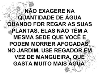 NÃO EXAGERE NA QUANTIDADE DE ÁGUA QUANDO FOR REGAR AS SUAS PLANTAS. ELAS NÃO TÊM A MESMA SEDE QUE VOCÊ E PODEM MORRER AFOGADAS. NO JARDIM, USE REGADOR EM VEZ DE MANGUEIRA, QUE GASTA MUITO MAIS ÁGUA  