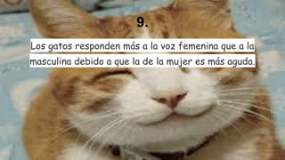 9.
Los gatos responden más a la voz femenina que a la
masculina debido a que la de la mujer es más aguda.

 
