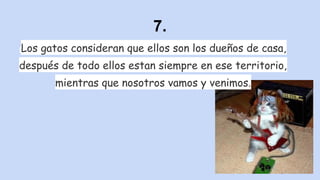 7.
Los gatos consideran que ellos son los dueños de casa,
después de todo ellos estan siempre en ese territorio,
mientras que nosotros vamos y venimos.

 