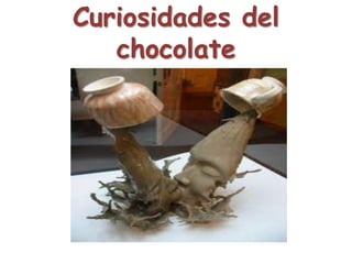 Curiosidades del chocolate 