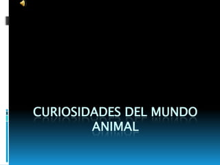 CURIOSIDADES DEL MUNDO
        ANIMAL
 