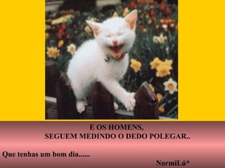 Y LOS  HOMBRES SIGUEN  MIDIENDOSE EL DEDO PULGAR  E OS HOMENS, SEGUEM MEDINDO O DEDO POLEGAR.. Que tenhas um bom dia...... NormiLú* 