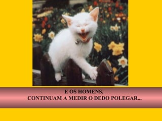 Y LOS  HOMBRES SIGUEN  MIDIENDOSE EL DEDO PULGAR  E OS HOMENS, CONTINUAM A MEDIR O DEDO POLEGAR... 