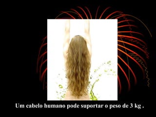 Um cabelo humano pode suportar o peso de 3 kg .   