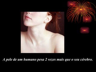 A pele de um humano pesa 2 vezes mais que o seu cérebro.  