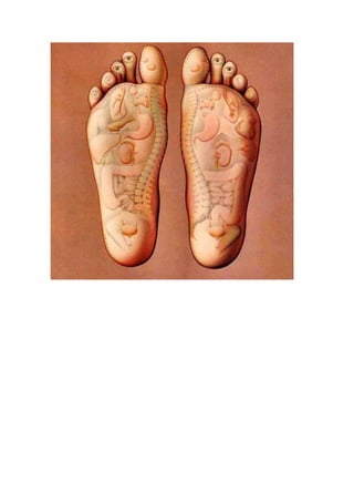 Curiosidades do corpo