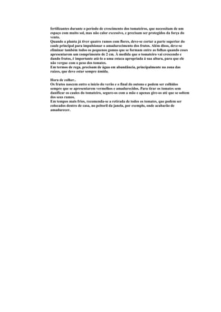 fertilizantes durante o período de crescimento dos tomateiros, que necessitam de um
espaço com muito sol, mas não calor excessivo, e precisam ser protegidos da força do
vento.
Quando a planta já tiver quatro ramos com flores, deve-se cortar a parte superior do
caule principal para impulsionar o amadurecimento dos frutos. Além disso, deve-se
eliminar também todos os pequenos gomos que se formam entre as folhas quando esses
apresentarem um comprimento de 2 cm. À medida que o tomateiro vai crescendo e
dando frutos, é importante atá-lo a uma estaca apropriada à sua altura, para que ele
não vergue com o peso dos tomates.
Em termos de rega, precisam de água em abundância, principalmente na zona das
raízes, que deve estar sempre úmida.
Hora de colher..
Os frutos nascem entre o início do verão e o final do outono e podem ser colhidos
sempre que se apresentarem vermelhos e amadurecidos. Para tirar os tomates sem
danificar os caules do tomateiro, segure-os com a mão e apenas gire-os até que se soltem
dos seus ramos.
Em tempos mais frios, recomenda-se a retirada de todos os tomates, que podem ser
colocados dentro de casa, no peitoril da janela, por exemplo, onde acabarão de
amadurecer.

 