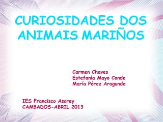 CURIOSIDADES DOS
ANIMAIS MARIÑOS
Carmen Chaves
Estefanía Mayo Conde
María Pérez Aragunde
IES Francisco Asorey
CAMBADOS-ABRIL 2013
 