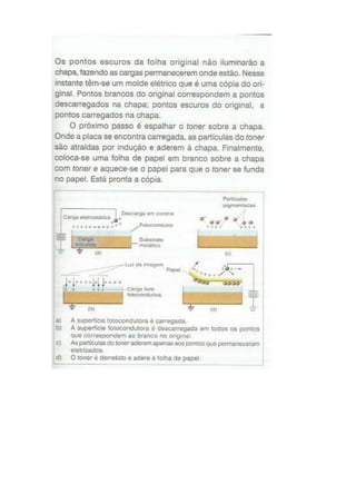 Curiosidades eletrostática e eletricidade