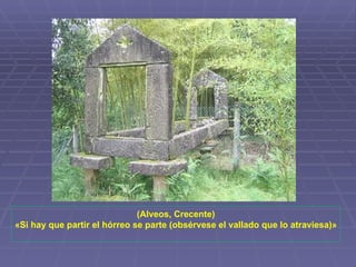 (Alveos, Crecente) «Si hay que partir el hórreo se parte (obsérvese el vallado que lo atraviesa)» 