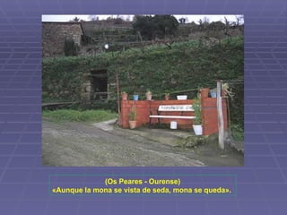(Os Peares - Ourense) «Aunque la mona se vista de seda, mona se queda».   