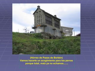 (Hórreo de Pazos de Borbén)  Vamos hacerle un acogimiento para los perros  porque total, maiz ya no echamos....... 