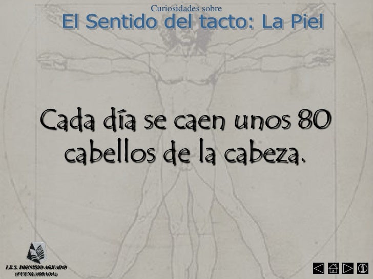 Que hacer si a los cabellos ha caído el aceite