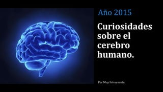 Curiosidades
sobre el
cerebro
humano.
Por Muy Interesante.
Año 2015
 