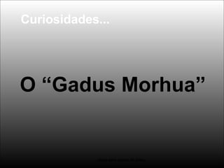 O “Gadus Morhua”
-clicar para mudar de slide-
Curiosidades...
 