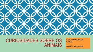 CURIOSIDADES SOBRE OS
ANIMAIS
E.E.E.F.M DUQUE DE
CAXIAS
PORTO- VELHO/RO
 