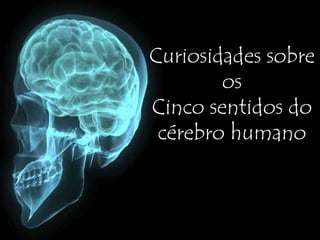 Curiosidades sobre
os
Cinco sentidos do
cérebro humano
 