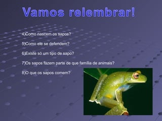 Como nascem os sapos? Como ele se defendem? Existe só um tipo de sapo? Os sapos fazem parte de que família de animais? O que os sapos comem? 
