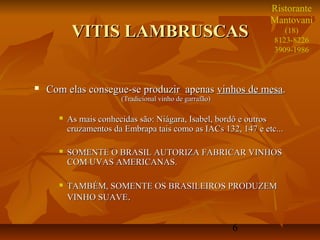 6
VITIS LAMBRUSCASVITIS LAMBRUSCAS
 Com elas consegue-se produzir apenasCom elas consegue-se produzir apenas vinhos de mesavinhos de mesa..
(Tradicional vinho de garrafão)(Tradicional vinho de garrafão)
 As mais conhecidas são: Niágara, Isabel, bordô e outrosAs mais conhecidas são: Niágara, Isabel, bordô e outros
cruzamentos da Embrapa tais como as IACs 132, 147 e etc...cruzamentos da Embrapa tais como as IACs 132, 147 e etc...
 SOMENTE O BRASIL AUTORIZA FABRICAR VINHOSSOMENTE O BRASIL AUTORIZA FABRICAR VINHOS
COM UVAS AMERICANAS.COM UVAS AMERICANAS.
 TAMBÉM, SOMENTE OS BRASILEIROS PRODUZEMTAMBÉM, SOMENTE OS BRASILEIROS PRODUZEM
VINHO SUAVEVINHO SUAVE..
Ristorante
Mantovani
(18)
8123-8226
3909-1986
 