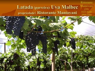 9
LatadaLatada (parreira)(parreira) Uva MalbecUva Malbec
propriedadepropriedade: Ristorante Mantovani: Ristorante Mantovani
Ristorante
Mantovani
(18)
8123-8226
3909-1986
 