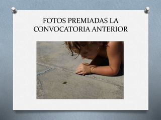 FOTOS PREMIADAS LA
CONVOCATORIA ANTERIOR
 