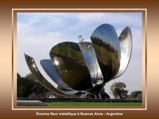 Énorme fleur métallique à Buenos Aires - Argentine 